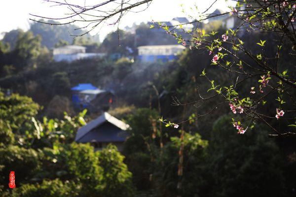 新三板挂牌公司和特能源撤回上交所主板IPO申请,今年已有28个项目“一撤了之”