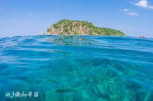 请问在网上能不能办理离婚手续？游戏画面