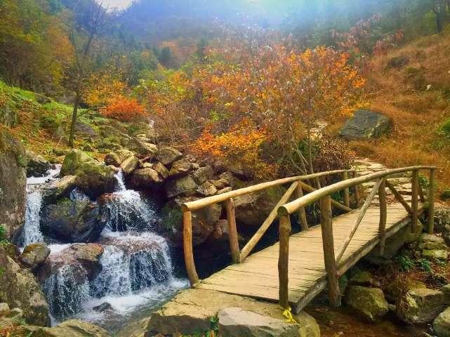 外星球体进黑洞